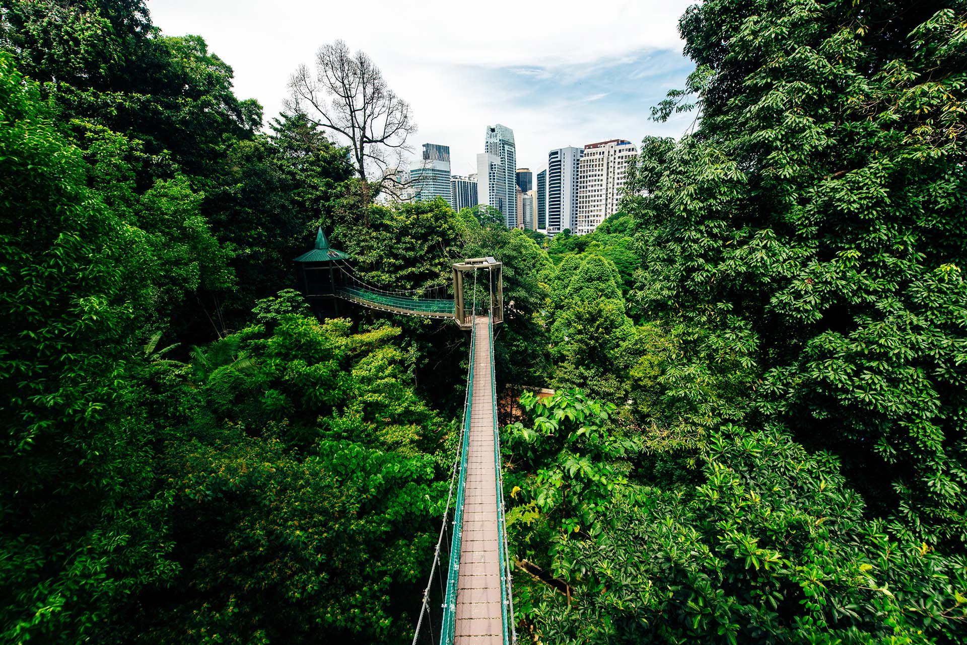 KL forest eco park